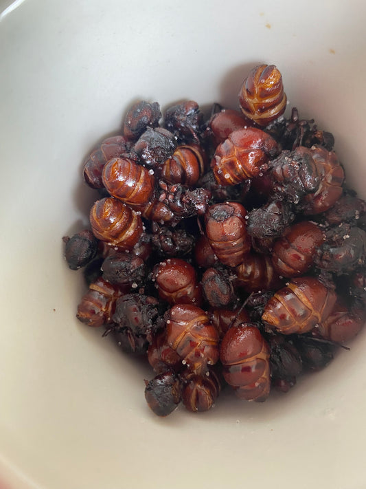 HORMIGAS CULONAS DESPIECE FINO