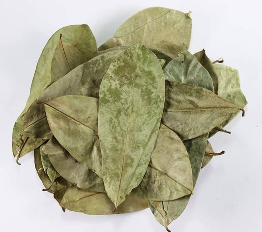 GUANABANA HOJAS DESHIDRATADAS