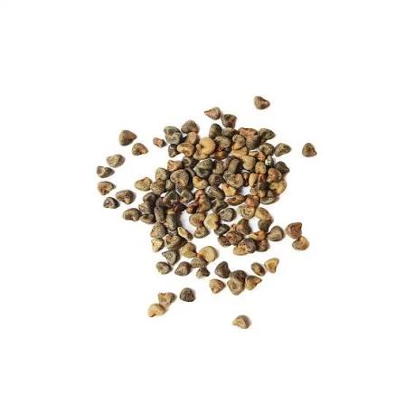 SEMILLAS ORGANICAS DE JAMAICA