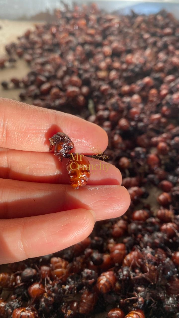 HORMIGAS CULONAS DESPIECE FINO