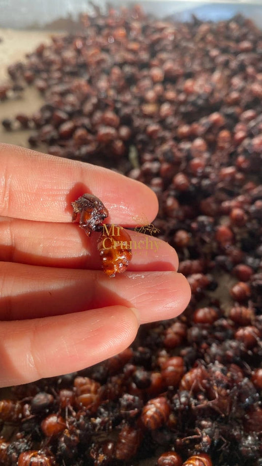 HORMIGAS CULONAS DESPIECE FINO