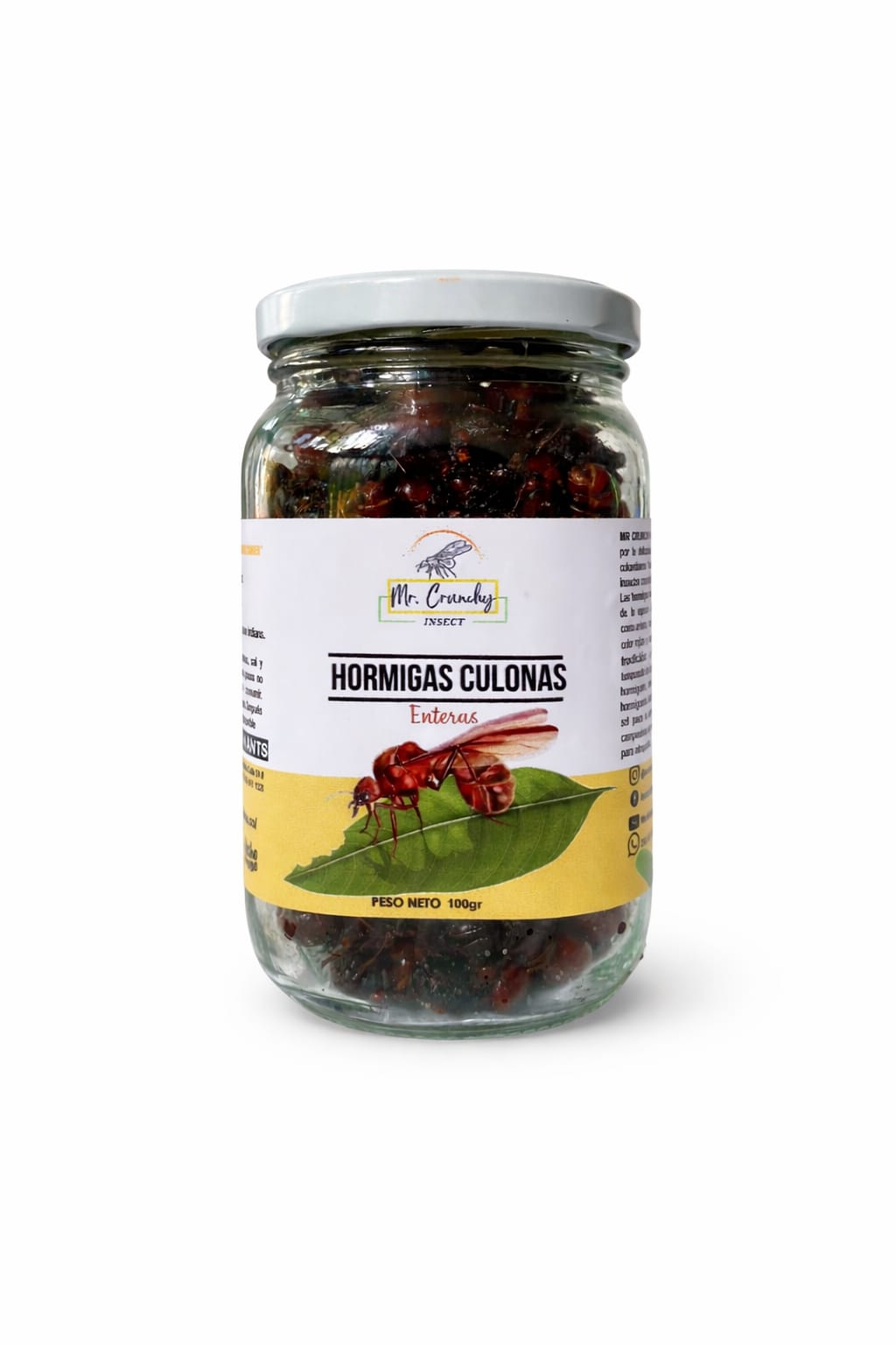 HORMIGAS CULONAS ENTERAS